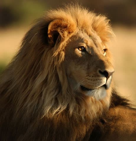 Gujarat Holiday Packages