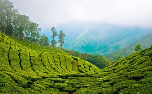 India Honeymoon Packages