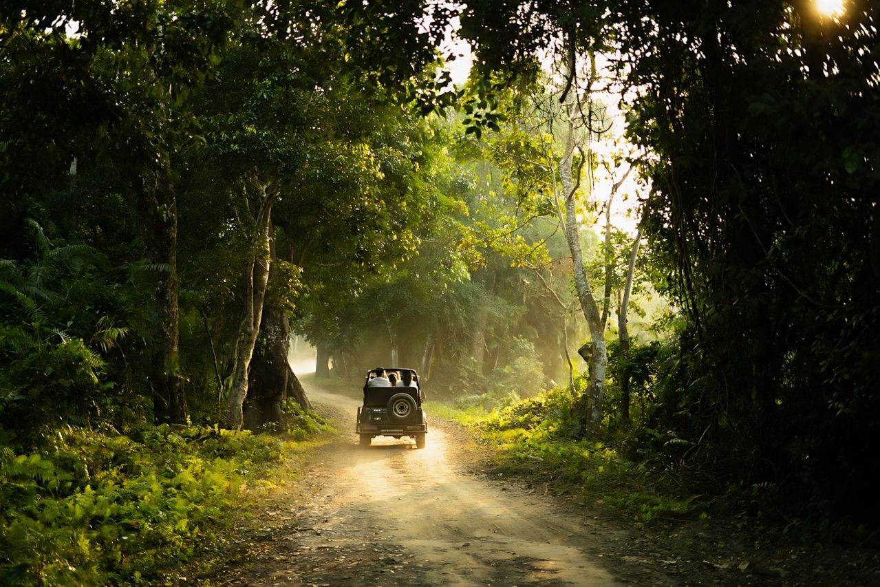 kaziranga tour lvskyhigh